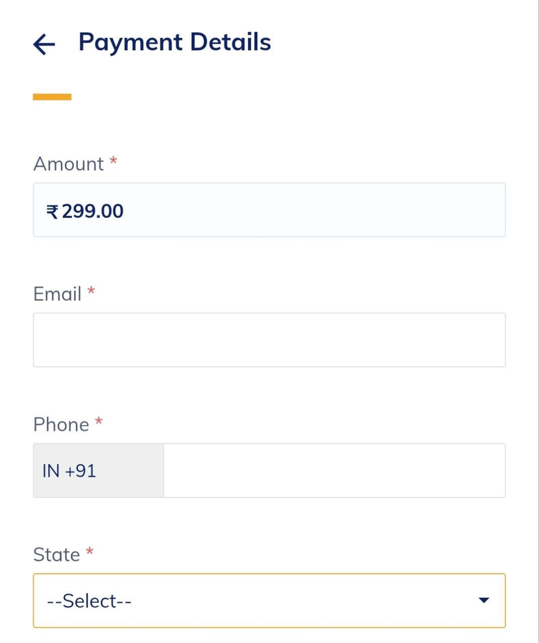 Payment Form